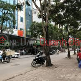 Bán gấp 126m2 đất đấu giá mặt ngõ trần thái tông, mặt tiền 7,2m, ôtô tránh dừng đỗ _0