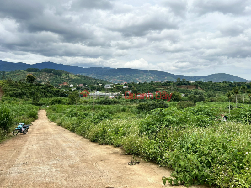 Property Search Vietnam | OneDay | Sales Listings Residential land on the edge of Da Lat city