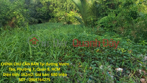 ĐẤT ĐẸP – GIÁ TỐT – CHÍNH CHỦ CẦN BÁN Tại đường Vườn Táo, Phường 7, Quận 8, HCM _0