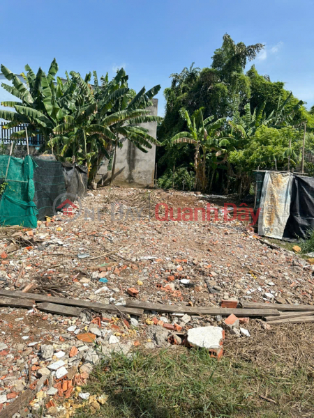 Chính chủ bán đất thổ cư Tân Kim, Cần Giuộc - Giá tốt - Vị trí đẹp, tiềm năng tăng giá cao | Việt Nam Bán, đ 1,39 tỷ