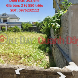 ĐẤT ĐẸP – GIÁ TỐT – CHÍNH CHỦ CẦN BÁN ĐẤT TẠI Xã Nghi Xá, Huyện Nghi Lộc, Tỉnh Nghệ An _0