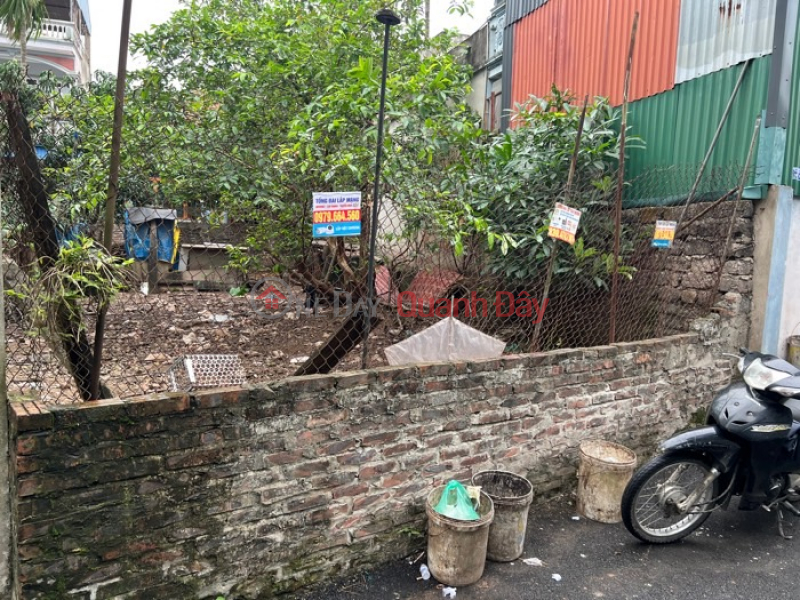 INVESTMENT PRICE IN NGOC LIEP AREA C AUCTION NGOC LIEP CALL NOW Sales Listings