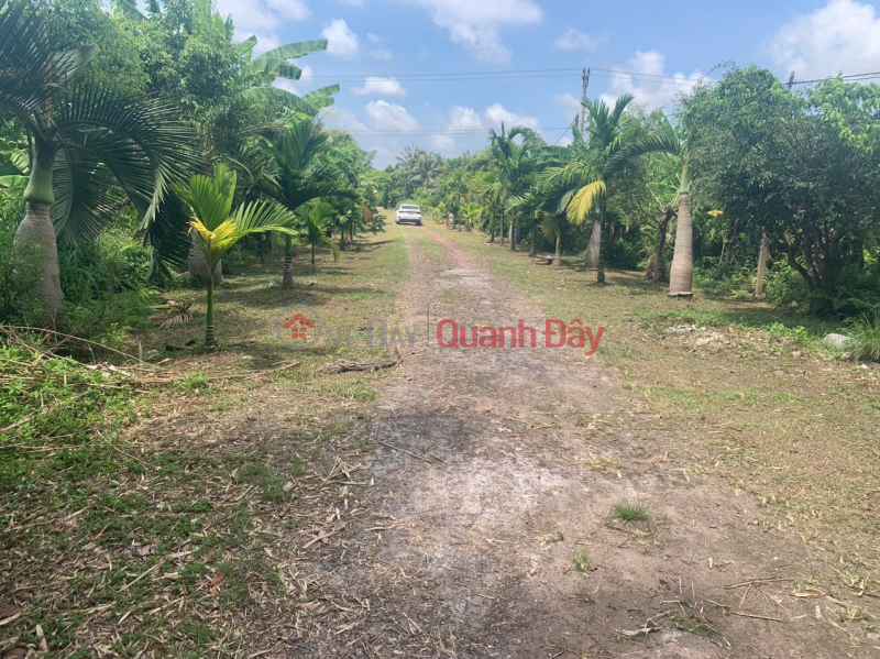 SELLING MORE THAN 50,000M2 OF INDUSTRIAL LAND IN TAY GIANG, TIEN HAI AT VERY GOOD PRICE Sales Listings