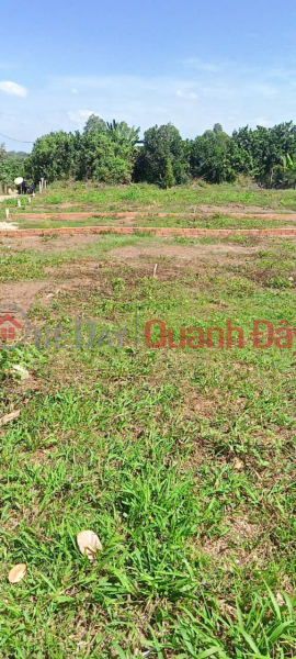 Land for Sale Area 19x24 Price 730 million in Xuan Hoa - Long Khanh Sales Listings