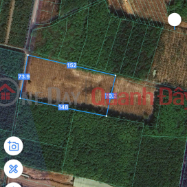 URGENT SALE OF 9000M2 AGRICULTURAL LAND IN BEN CAT - BINH DUONG - PRICE ONLY 80 BILLION - SEPARATE RED BOOK _0