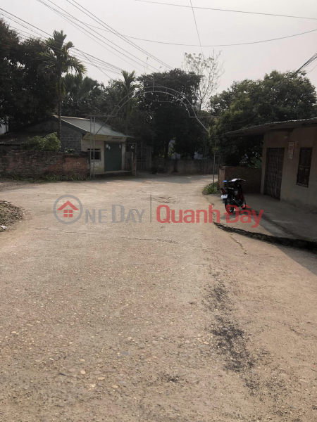 The owner needs to sell a 2-Front Land Lot in Thuy Van - Viet Tri - Phu Tho. Sales Listings