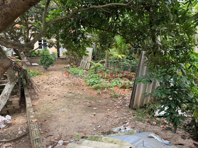 Beautiful land in Do Ha, Tien Phong, Me Linh. Car parking, near Highway 23, Vinaxuki Automobile Company Vietnam, Sales đ 3.1 Billion