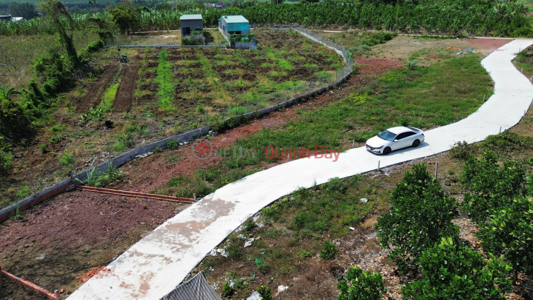 Property Search Vietnam | OneDay | | Sales Listings | Liquidation Sale: 2 adjacent plots in Da Bac with residential land title, priced at 260 million and 280 million VND respectively.