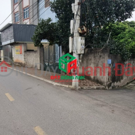 Selling land in Tien Duong commune, Dong Anh district for a little over 2 billion in car alley _0