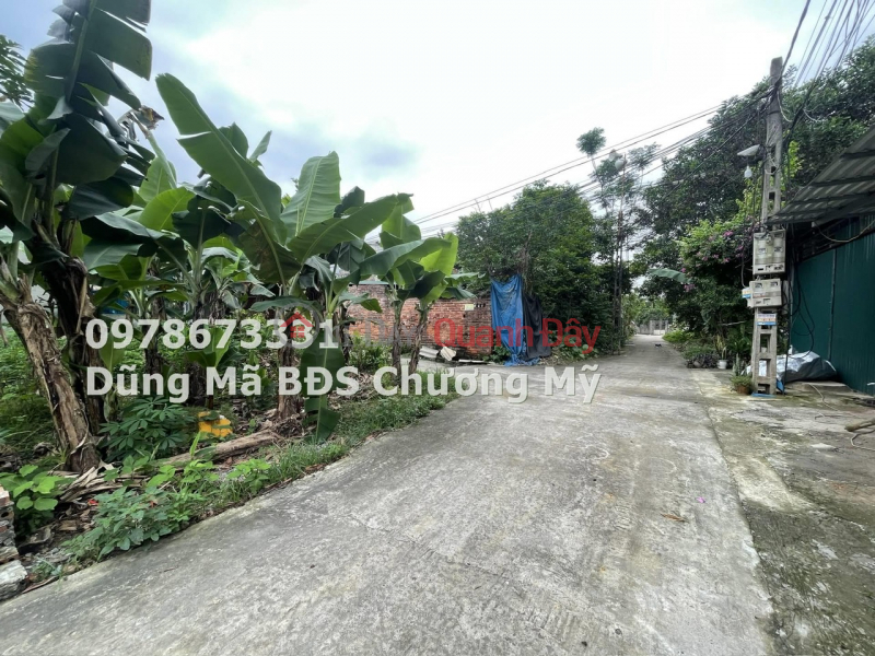 PRICE ONLY 1TY8 TO OWN A BEAUTIFUL LOT OF LAND IN DONG PHUONG YEN-CHUONG MY, Vietnam | Sales | đ 1.8 Billion