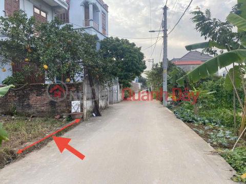 Land for sale in Ấp Tre village, Quang Minh commune, Hanoi city. Near the industrial park and Tuệ Tĩnh College of Medicine and Pharmacy. _0
