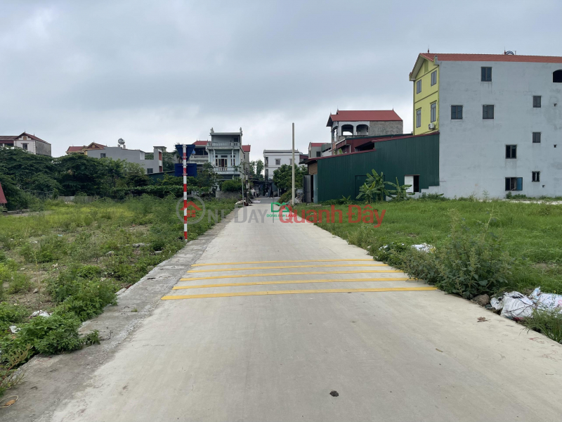 Auction land in Dinh Trang village, Duc Tu commune, Dong Anh district, 20m wide business road surface Sales Listings