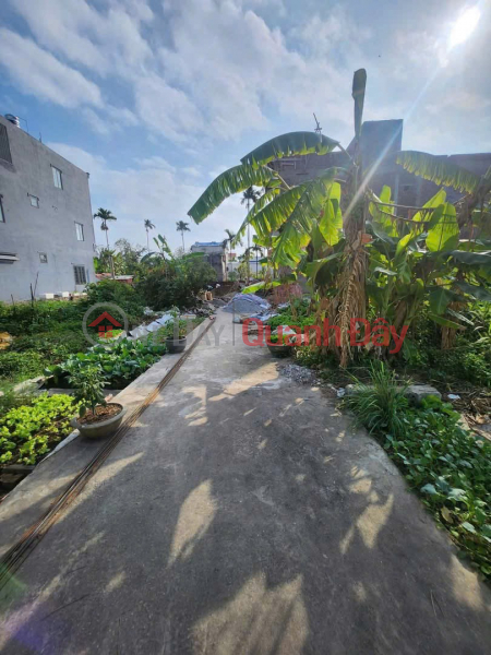 đ 860 Million Only 8xx million VND. Land plot in Group 9, Hoa Nghia – behind the row of 59 commercial units. Low financing, easy transaction. ZALO 0567 222