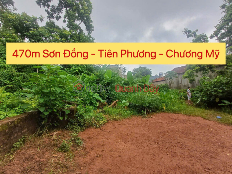 OWNER FOR SALE 470M2 LAND LOT IN TIEN PHUONG-CHUONG MY-HANOI Sales Listings
