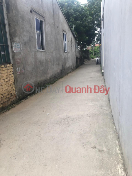 Beautiful Land - Good Price - Owner Needs to Sell Beautiful Land Lot in Tan Lap Commune, Dan Phuong District, Hanoi City, Vietnam Sales đ 3.05 Billion