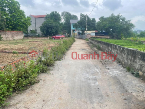 Selling 60m2 of land in Minh Tri - Soc Son, 4.5m road right in the industrial park, price 5xx million. Contact 0981568317 _0