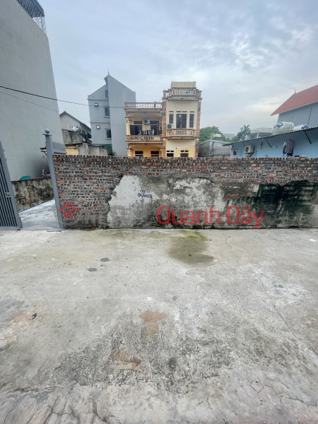 Selling 58m of land in Bau Village, Kim Chung commune, corner lot with two frontages on the road, Vietnam Sales đ 3 Billion