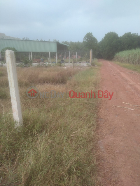 OWNER FOR URGENT SALE OF LAND LOT IN BEAUTIFUL LOCATION In Chau Thanh, Tay Ninh _0