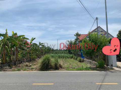 Beautiful Residential Land Plot for Sale - Area 509.9m2 in Dien Phuoc Commune, Dien Khanh. Selling Price 10.5 million\/m2!! _0