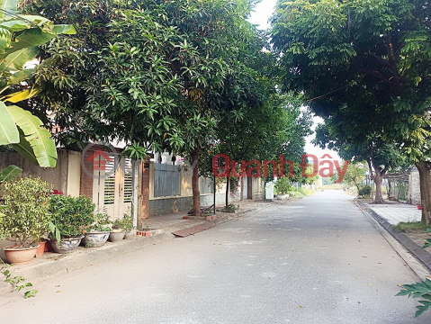 Villa Anh Dung 7 land for sale, area 290m PRICE 5.2 billion close to Me Linh area _0