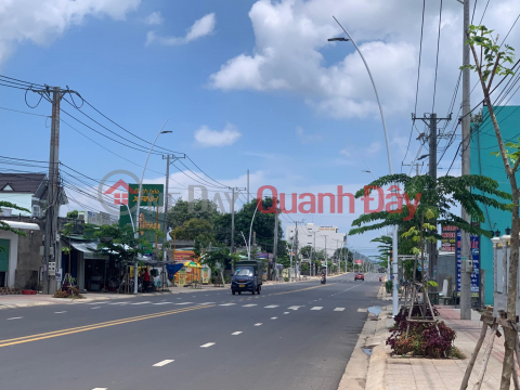 Urgent sale of residential land on street 328 Phuoc Tan, Xuyen Moc, Ba Ria Vung Tau at AMAZING price _0