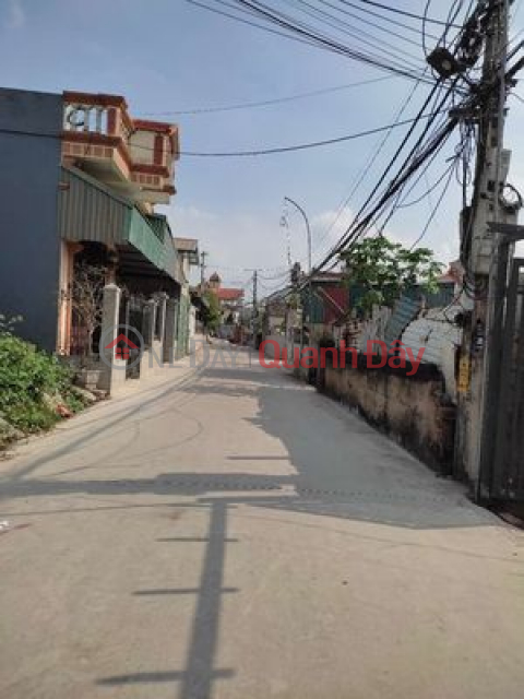 Villa for sale in Hong Van Commune, Thuong Tin, 300m2 with car to the house. _0