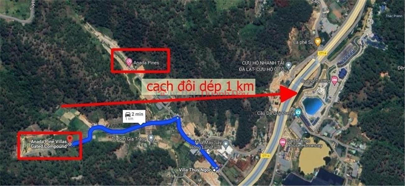 OWNERS FAST SELL 17000M2 In Ward 3, Da Lat City, Lam Dong Sales Listings
