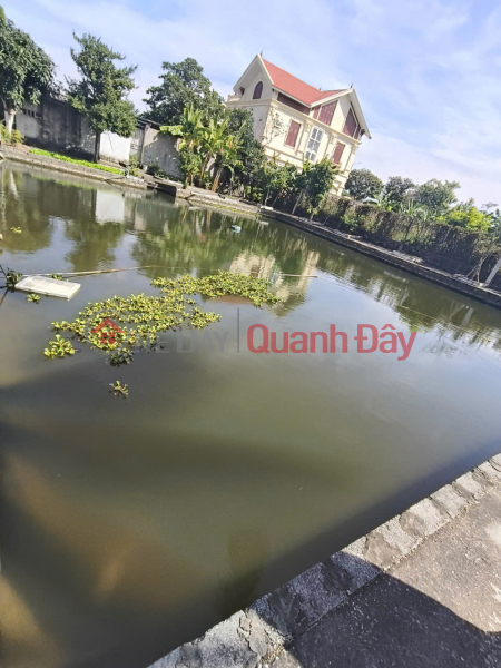 Bán Biệt Thự 3 Tầng 2000 M sân Vườn Đồ Sơn Hải Phòng Niêm yết bán