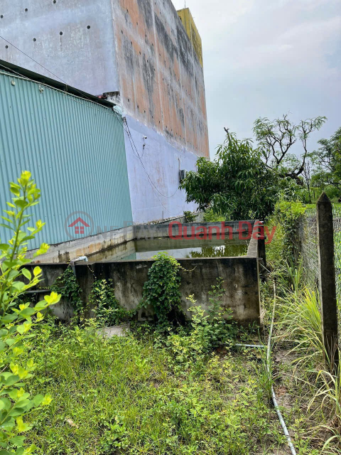 ĐẤT ĐẸP – GIÁ TỐT – CHÍNH CHỦ CẦN BÁN 3 LÔ ĐẤT VỊ TRÍ ĐẸP TẠI Tiền Giang _0