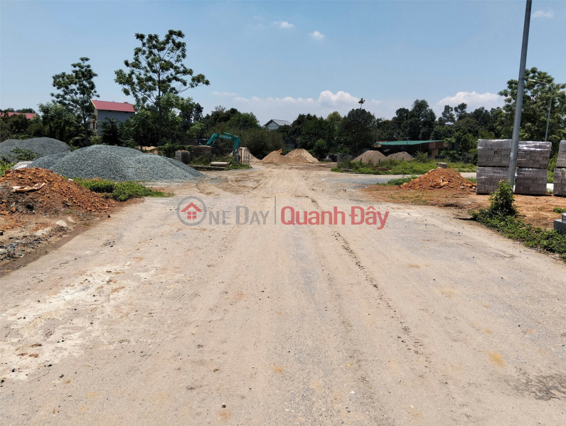 Property Search Vietnam | OneDay | Residential, Sales Listings | OWNER QUICKLY SELLS LAND 125m2 Located on the Main Axis of Binh Yen Resettlement Area - Thach That, Hanoi