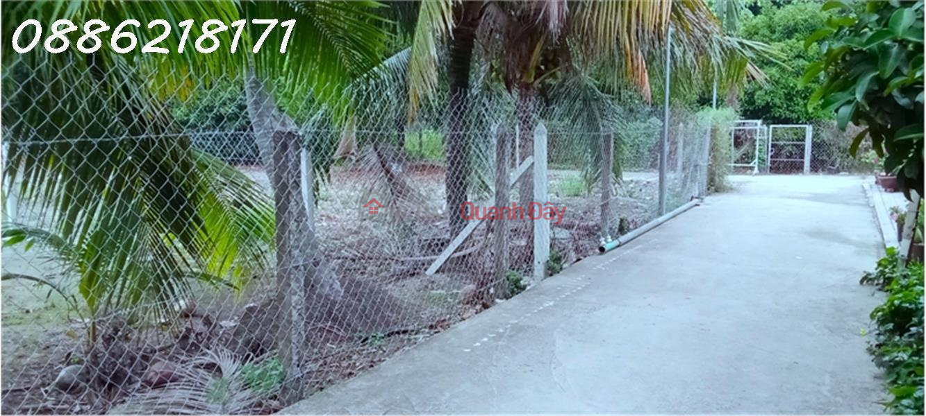 Property Search Vietnam | OneDay | Residential, Sales Listings Land for sale by owner 500m2 An Son commune, Thuan An, Binh Duong Area 15.4X28m Residential 100m2 Flat land