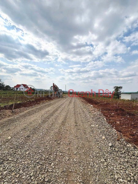 Bán đất 130m2 tổ 34 liên nghĩa - Đức Trọng - Lâm Đồng 1 tỷ 650 triệu Niêm yết bán