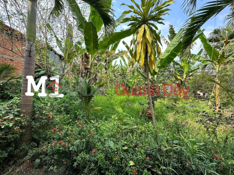 BEAUTIFUL LAND - GOOD PRICE - Quick Sale 3 Lots of Land in Beautiful Locations in Dao Thanh Commune, My Tho City, Tien Giang _0
