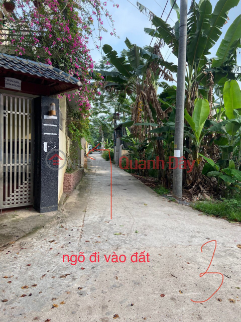 Residential land for sale in Van Phuc commune, Thanh Tri district, Hanoi. _0