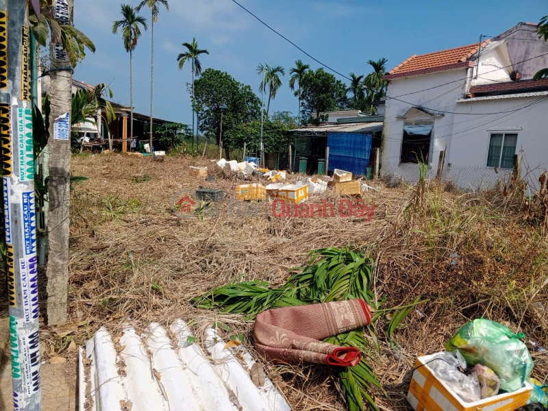 Property Search Vietnam | OneDay | Residential, Sales Listings, Owner needs to sell land on Nguyen Tri Phuong Street for 6.5 billion