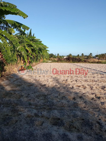 Property Search Vietnam | OneDay | Residential | Sales Listings | Owner For Sale Land Lot In Phu Lac Commune, Lien Huong Town, Tuy Phong District, Binh Thuan