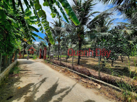 Need to quickly sell Dac Loc - Vinh Phuong lot (now Bac Nha Trang Ward) 990 million _0