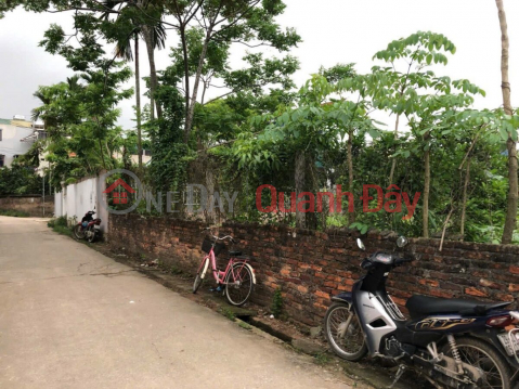 CHÍNH CHỦ BÁN LÔ ĐẤT FO 43,5M TẠI ĐẠI YÊN-CHƯƠNG MỸ-HÀ NỘI _0