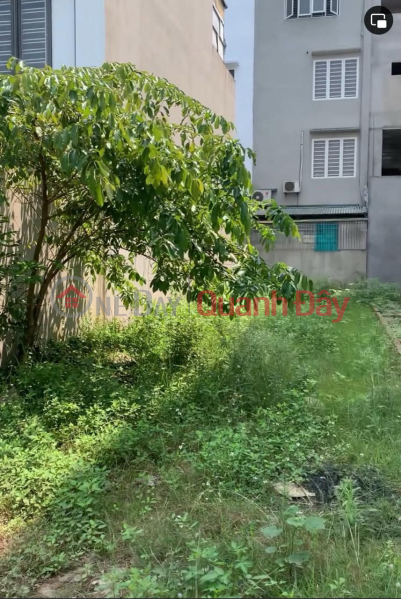 For Sale Land Lot 2 Le Quang Dao, Xuan Hoa Urban Area (Electricity and Water) Sales Listings