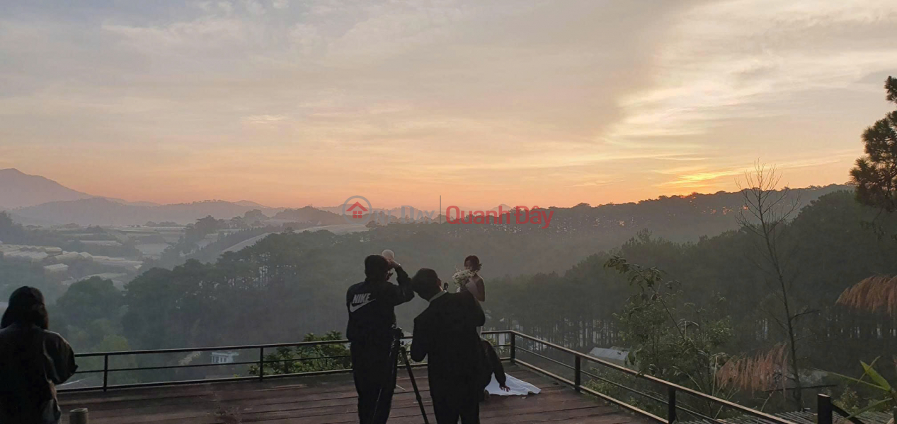 đ 16 Million/ month AGRICULTURAL LAND FOR LEASE WITH PINE FOREST VIEW – CAM LY WARD (WARD 5),DA LAT