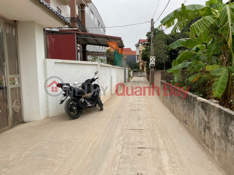 OWNER needs to sell a beautiful piece of land in Phu Huu village, Tien Thang commune, Hanoi _0