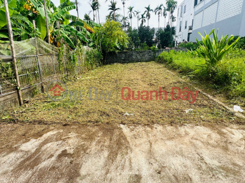 Transferring 54m2 of land in 3m alley in Van Tra, An Dong, An Duong, Hai Phong _0