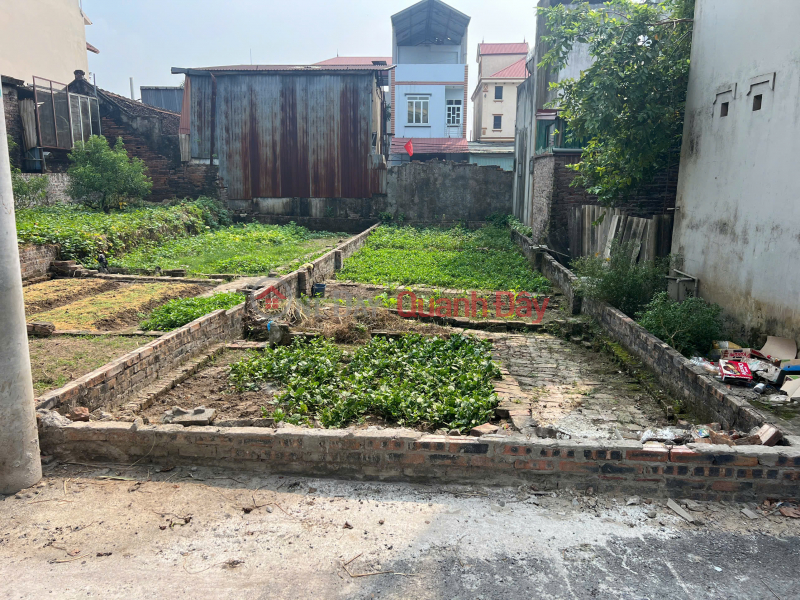 Property Search Vietnam | OneDay | Residential, Sales Listings Beautiful land plot - Preferential price - Prime location 74.9m full land at Ben Trung, Bac Hong, Dong Anh, Hanoi