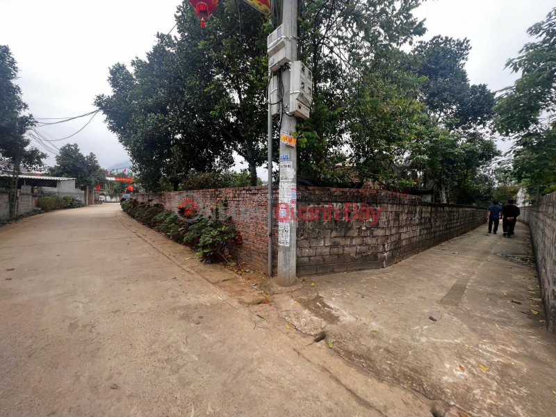 Land for sale at DT 414, Tan Linh Commune, Ba Vi, Hanoi, 10 million \\/ m2, 300m2 corner lot with 2 street frontages Sales Listings