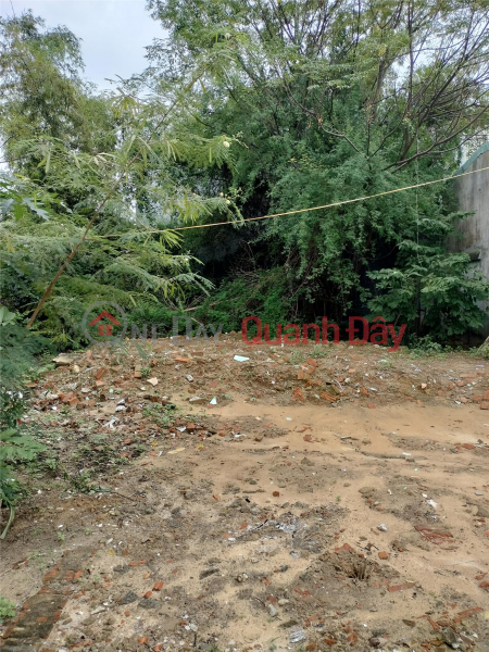 BÁN ĐẤT KIỆT Ô TÔ HÒA QUÝ – GIÁ TỐT Niêm yết bán