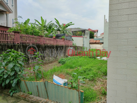 Owner Needs to Sell 60.5m2 of land in Luong Quy village _0