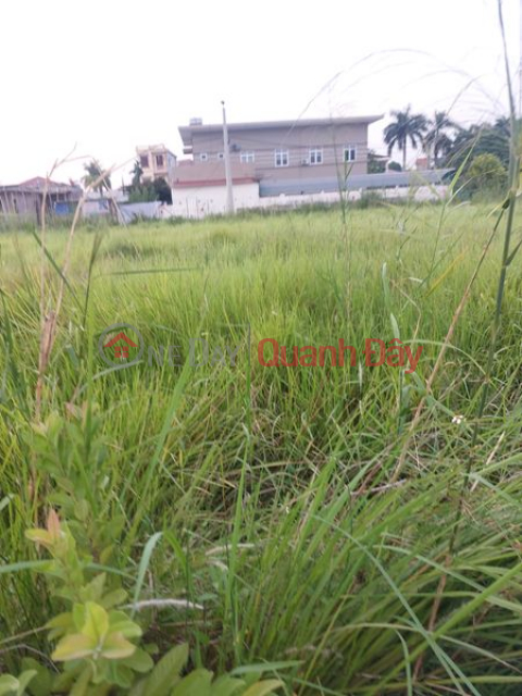 Land for sale in Dong Hung district, area 210m2, price only about 1.9 billion _0