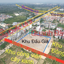 Auction land X7 Uy No Dong Anh Peach Garden, 119m2 MT 7m busy business _0
