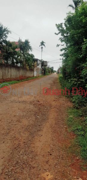 Property Search Vietnam | OneDay | | Sales Listings, Selling land frontage 25B - Hoa Thuan - BMT. 2 adjacent lots