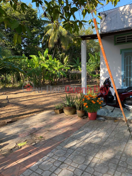 QUICK SALE OF PRIMARY LAND IN BEAUTIFUL LOCATION In Phuoc Hau, Vinh Long Sales Listings